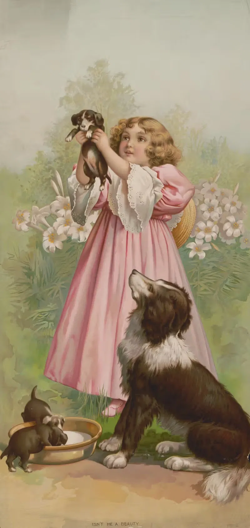 Разве он не красавец by Кнапп и Ко, 1898 — digital art print download