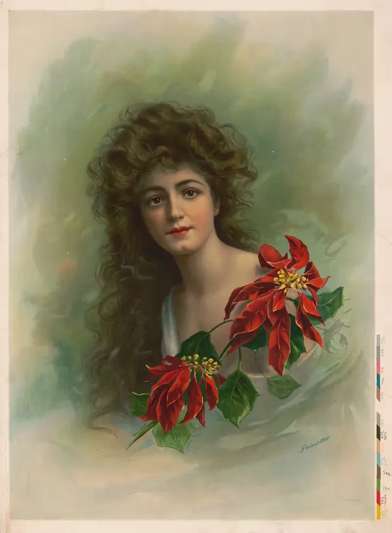 Пуансеттия by Мик Компани, 1910 — digital art print download