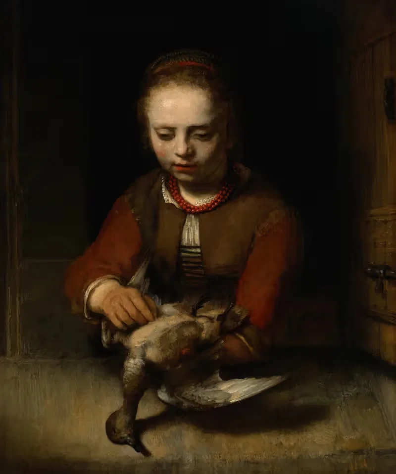Young Girl Plucking a Duck — Barent Fabritius