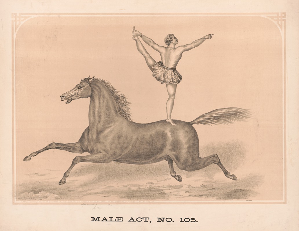 Male act, no. 105 by Гибсон и Ко. Лит, 1872 — digital art print download