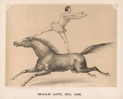 Male act, no. 106 by Gibson & Co. Lith, 1872 — digital art print download