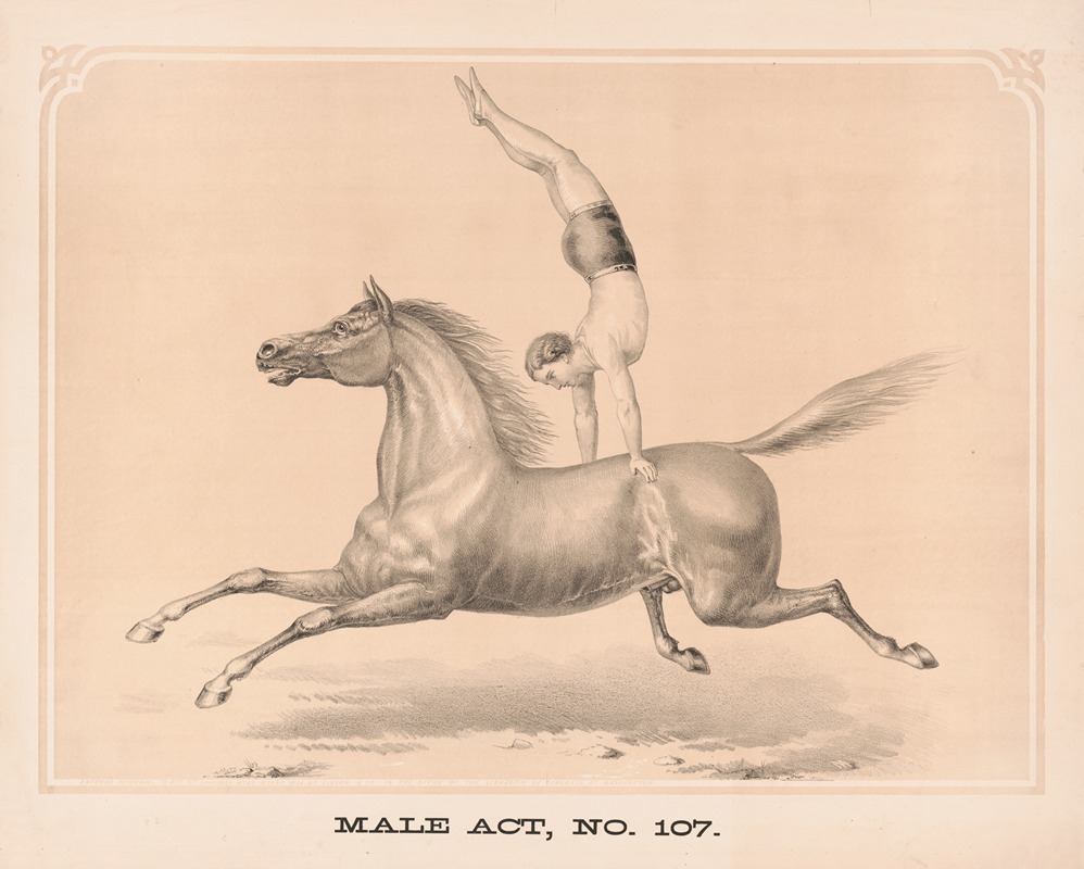 Male act, no. 107 by Гибсон и Ко. Лит, 1872 — digital art print download