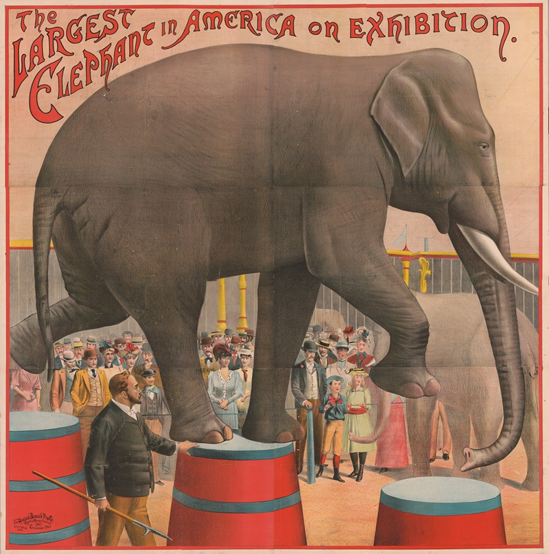 The largest elephant in America on exhibition — Russell, Morgan & Co.