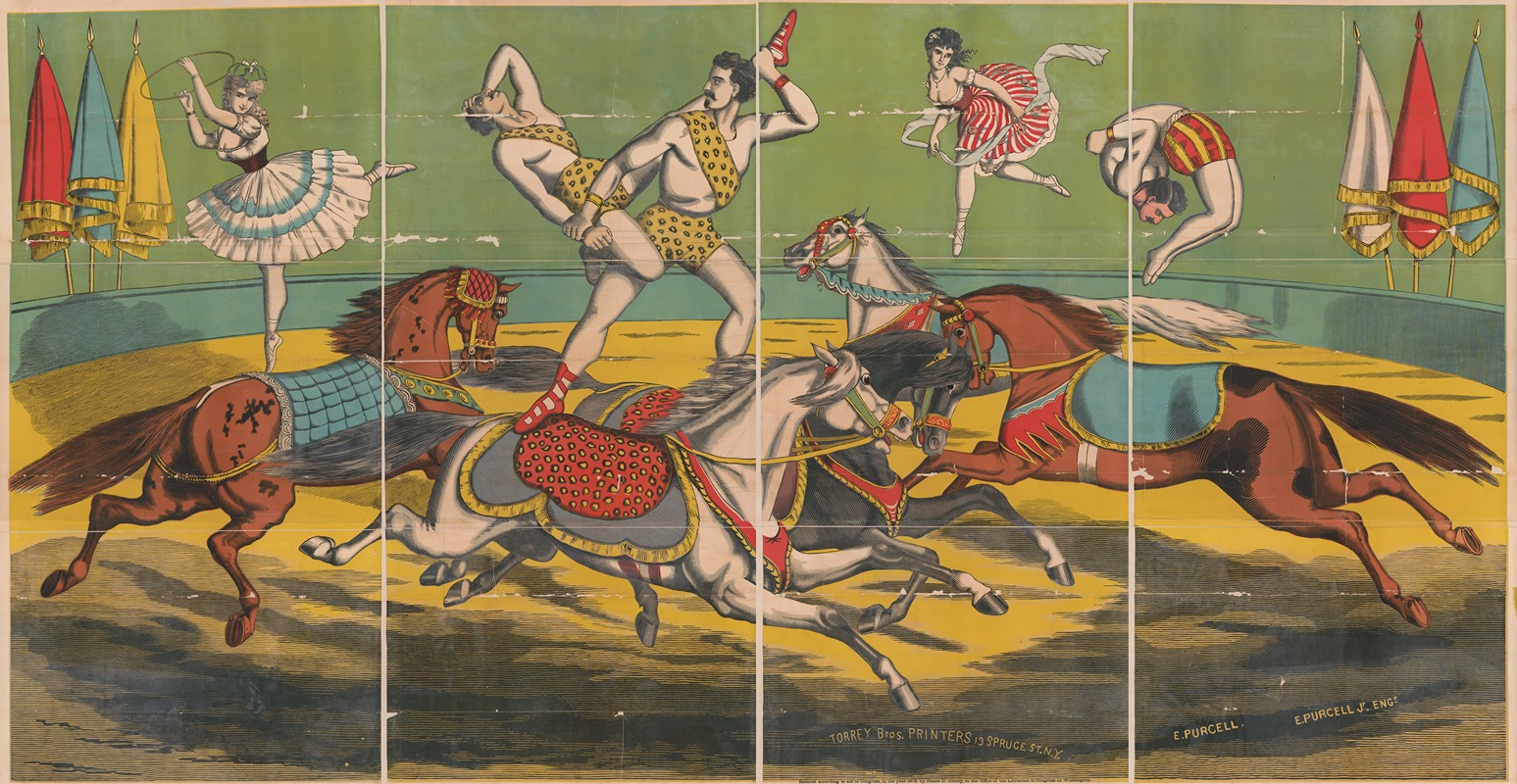 Acrobatic acts on horseback by Torrey Brothers, 1872 — digital art print download