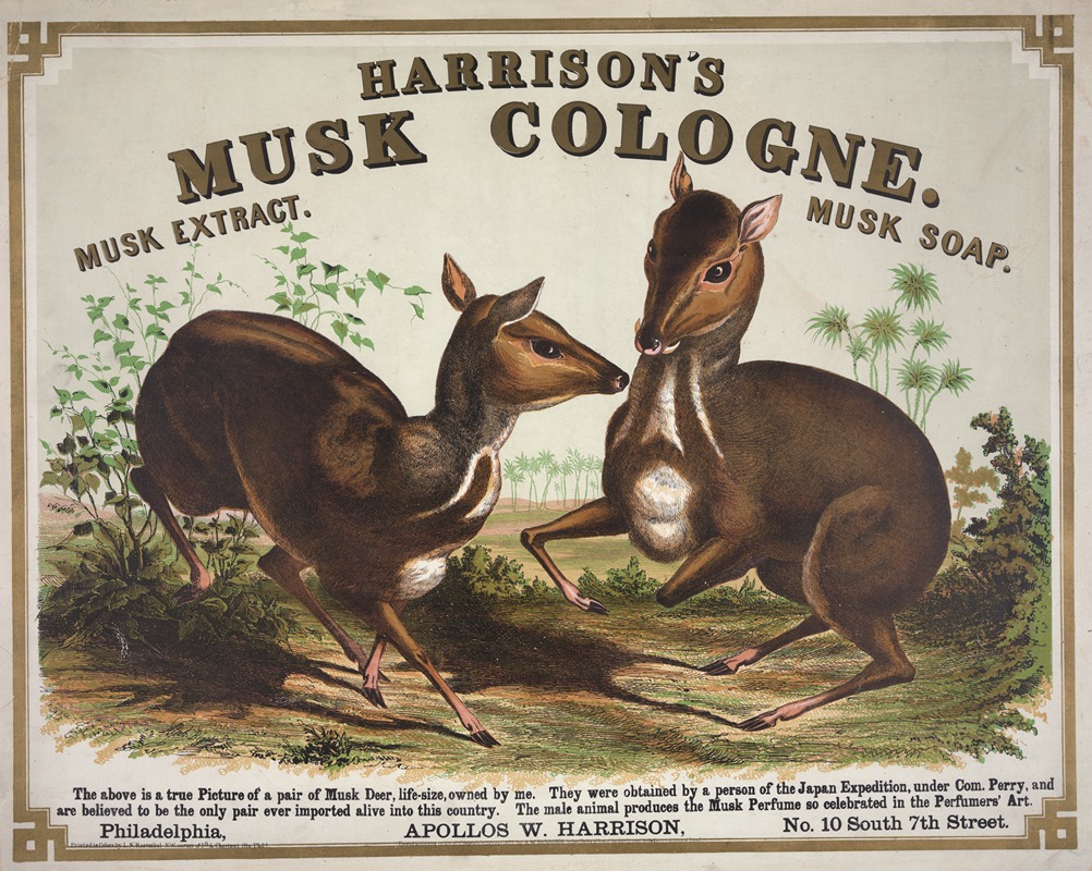 Harrison's musk cologne. Philadelphia — Alphonse Bigot