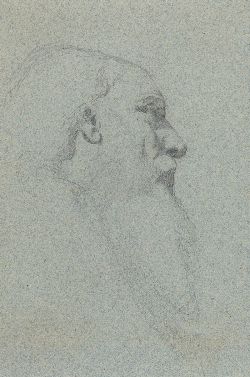 Head of a Bearded Man, Looking Right — Alexandre Bida