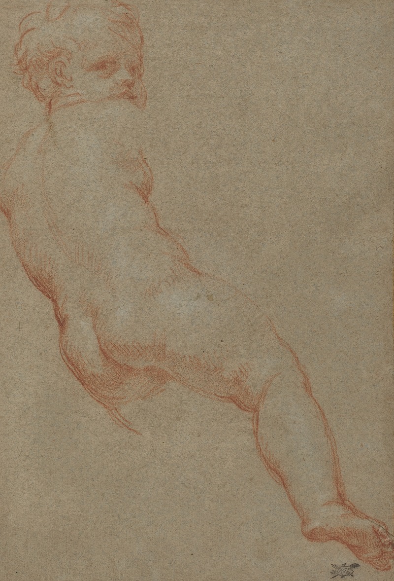 Study of a Young Boy by Карло Маратти — digital art print download