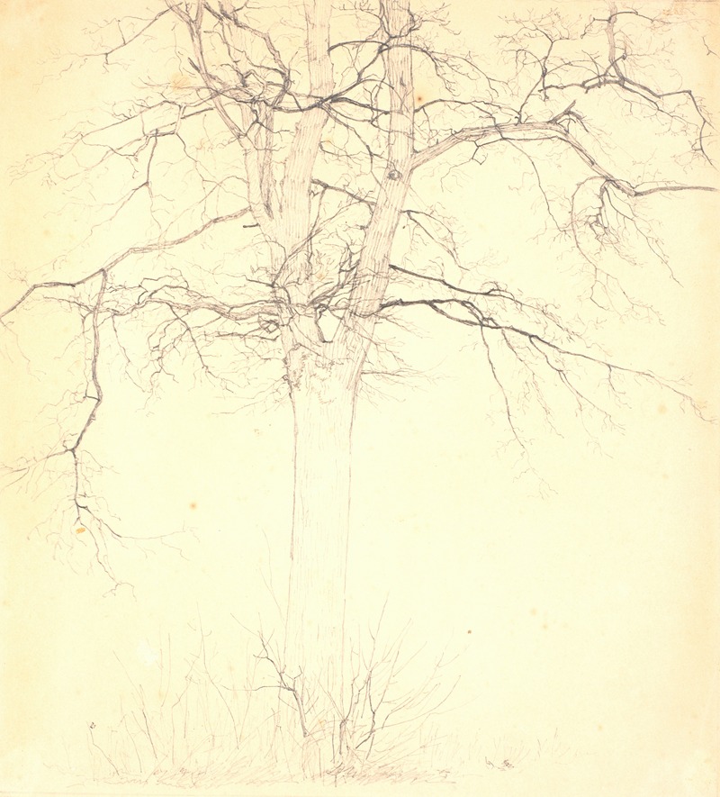 Lind ved Kærlighedsstien by Кристен Кёбке, 1836 – 1839 — digital art print download