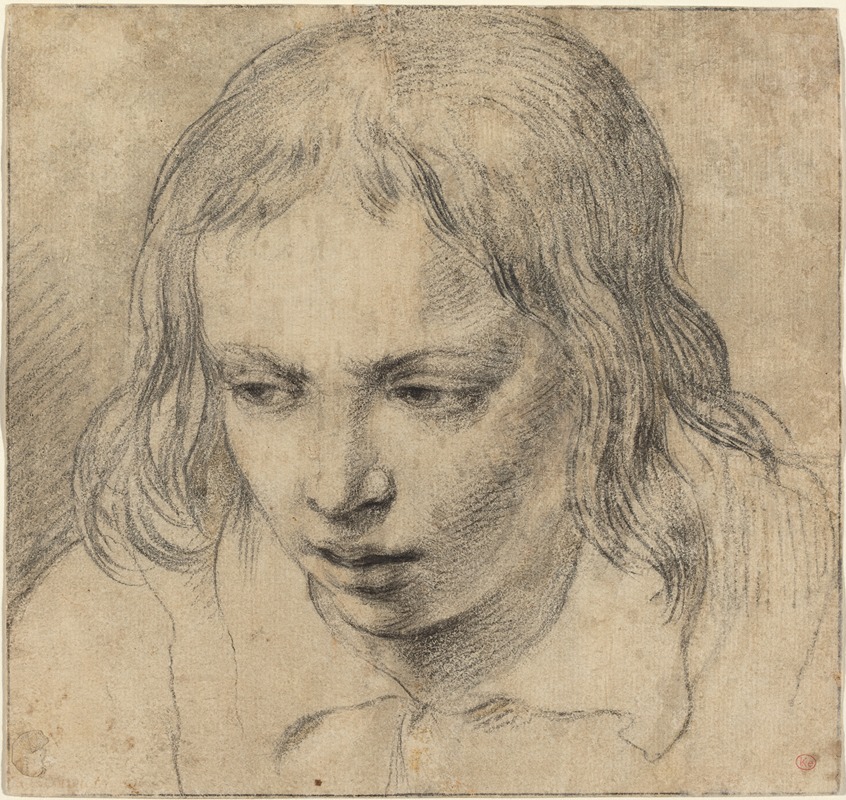 Head of a Young Man (recto) — Dutch 17th Century