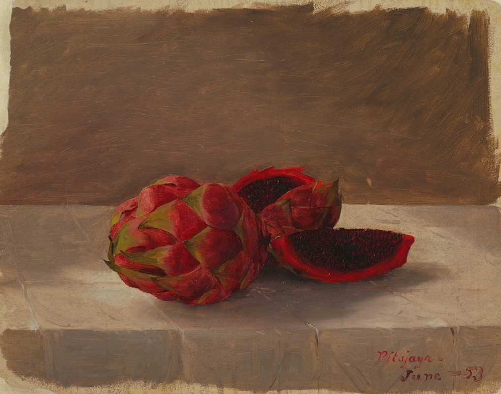The Pitajaya Fruit, Columbia by Аноним, 1853 — digital art print download