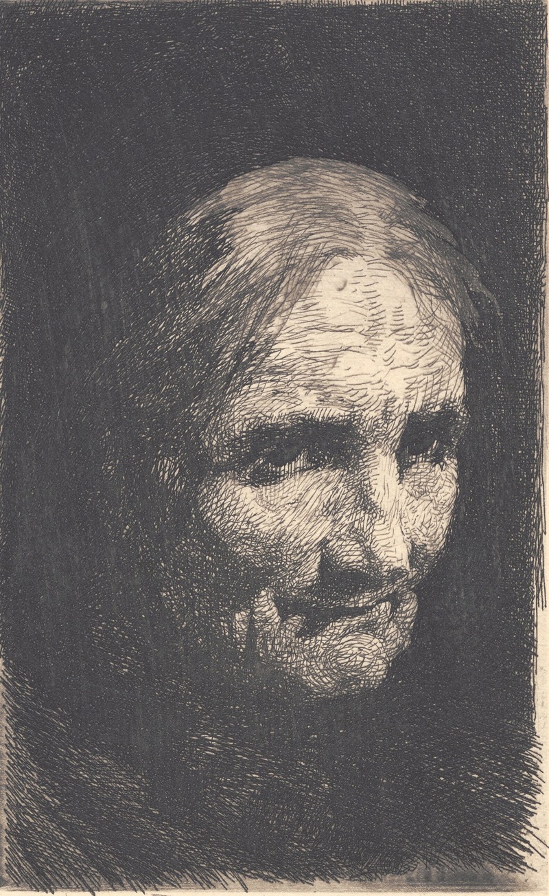 Gammel kone by Франс Шварц, 1896 - 1897 — digital art print download