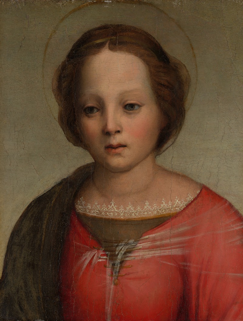 Head of the Madonna — Franciabigio