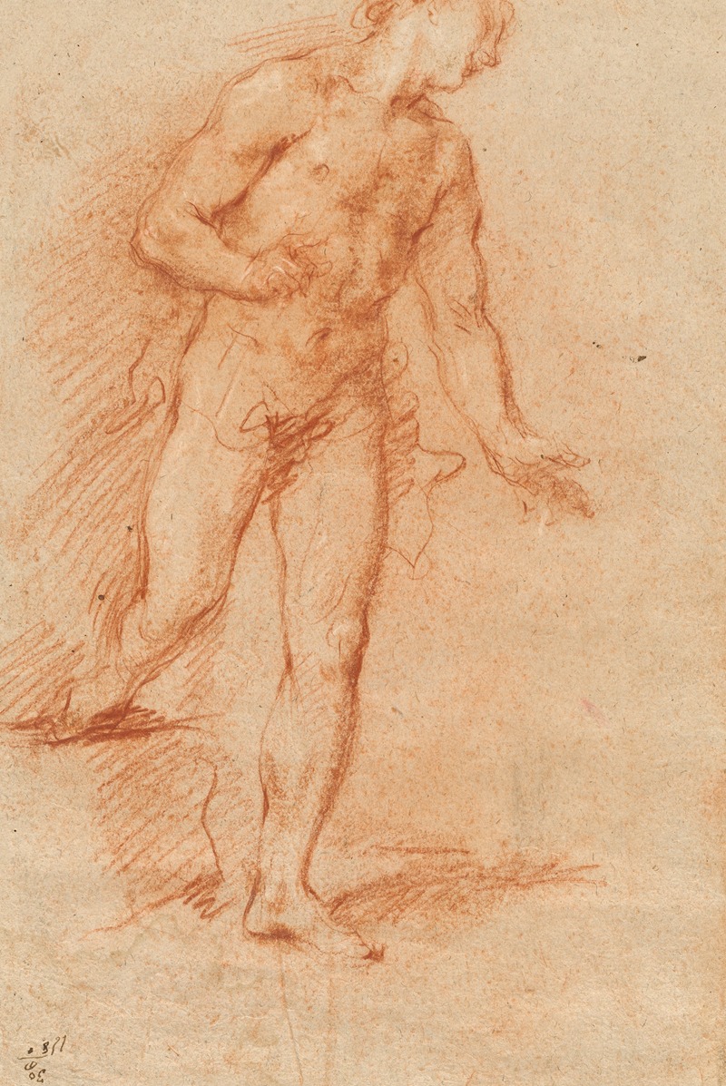 Male Nude by Джованни Антонио Гварди — digital art print download
