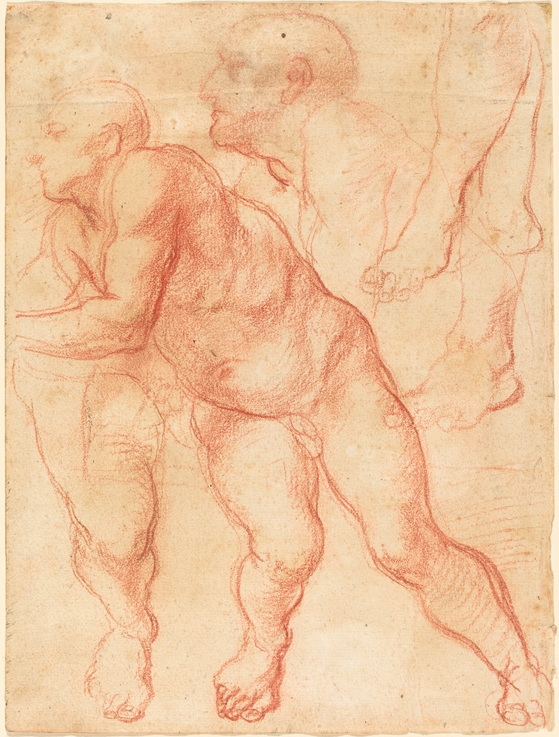 Studies of a Male Nude — Giovanni Battista Naldini