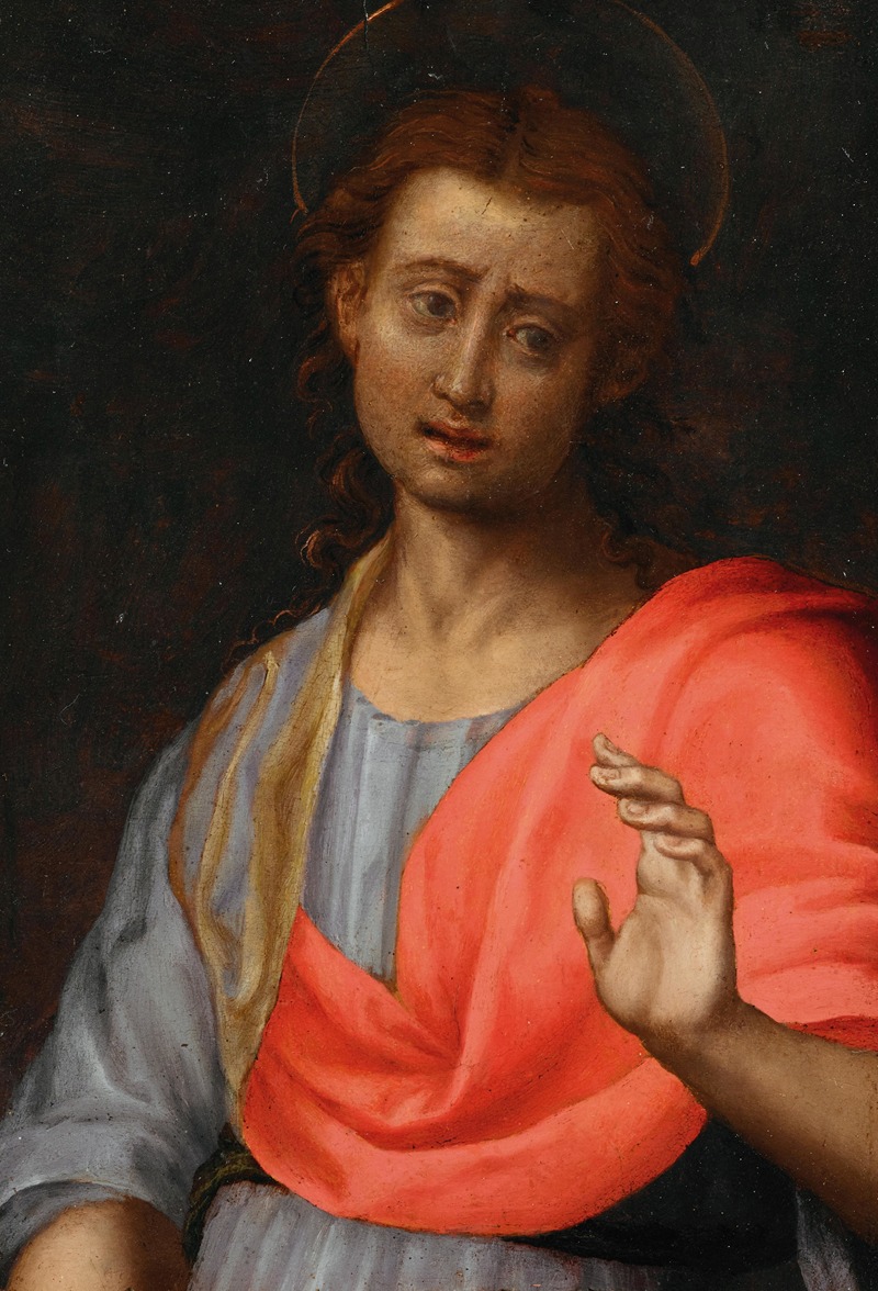 Saint John the Evangelist by Circle of Jacopo Carucci, called Pontormo — digital art print download