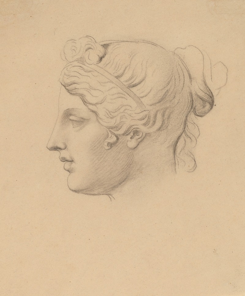 Classical Head in Profile by Horatio Greenough — digital art print download