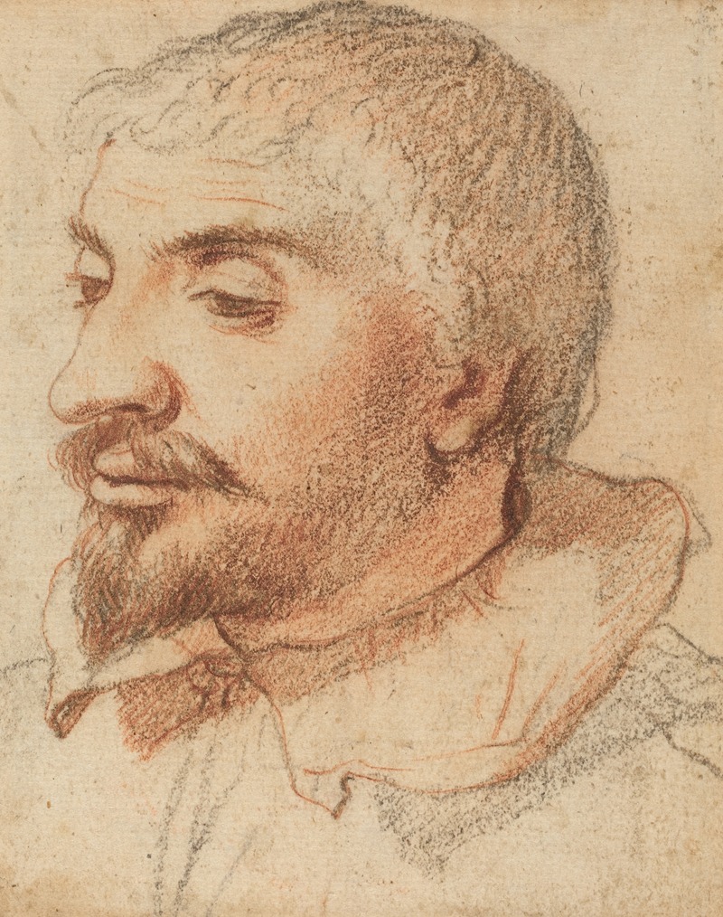 Head of a Man by Итальянская школа, c. 1600 — digital art print download