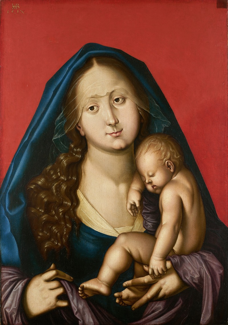 Madonna with Sleeping Child by Ханс Бальдунг, 1520 — digital art print download