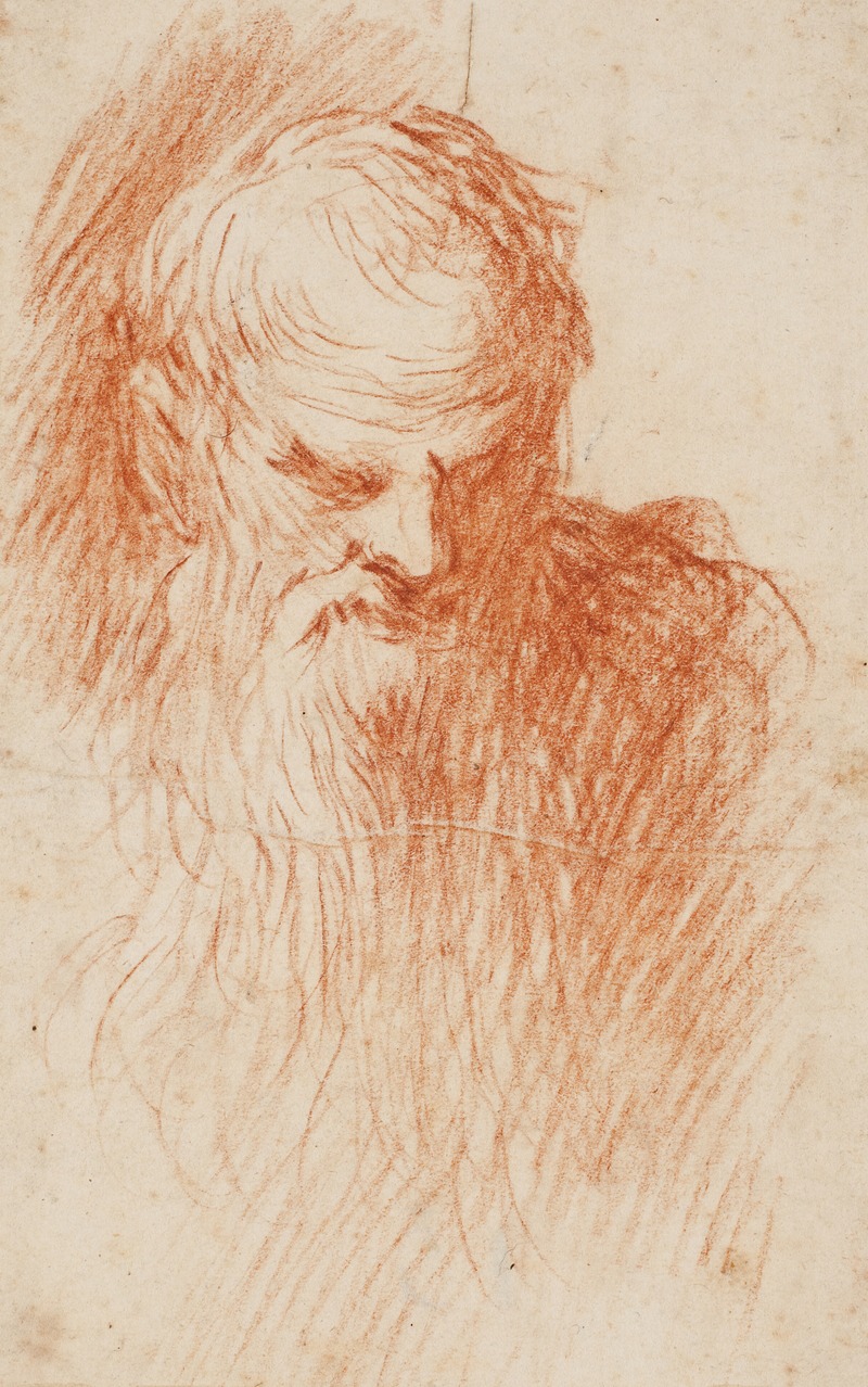 Head of a bearded man — Якопо Пальма юный