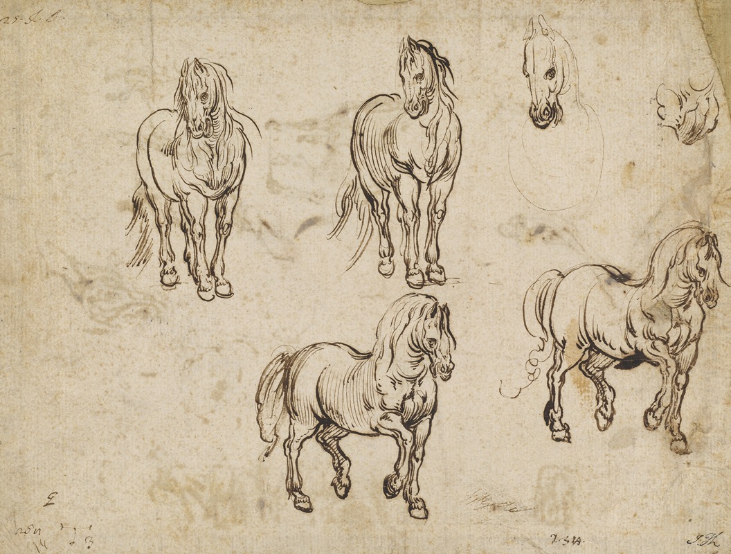 Studies of Horses (recto) by Жак Калло, c. 1612 — digital art print download