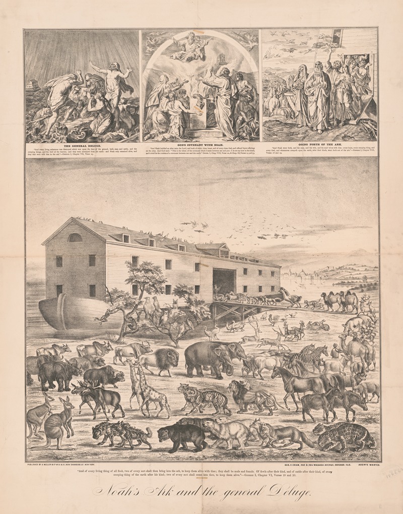 Noah's Ark and the general deluge — A. Muller & Co.