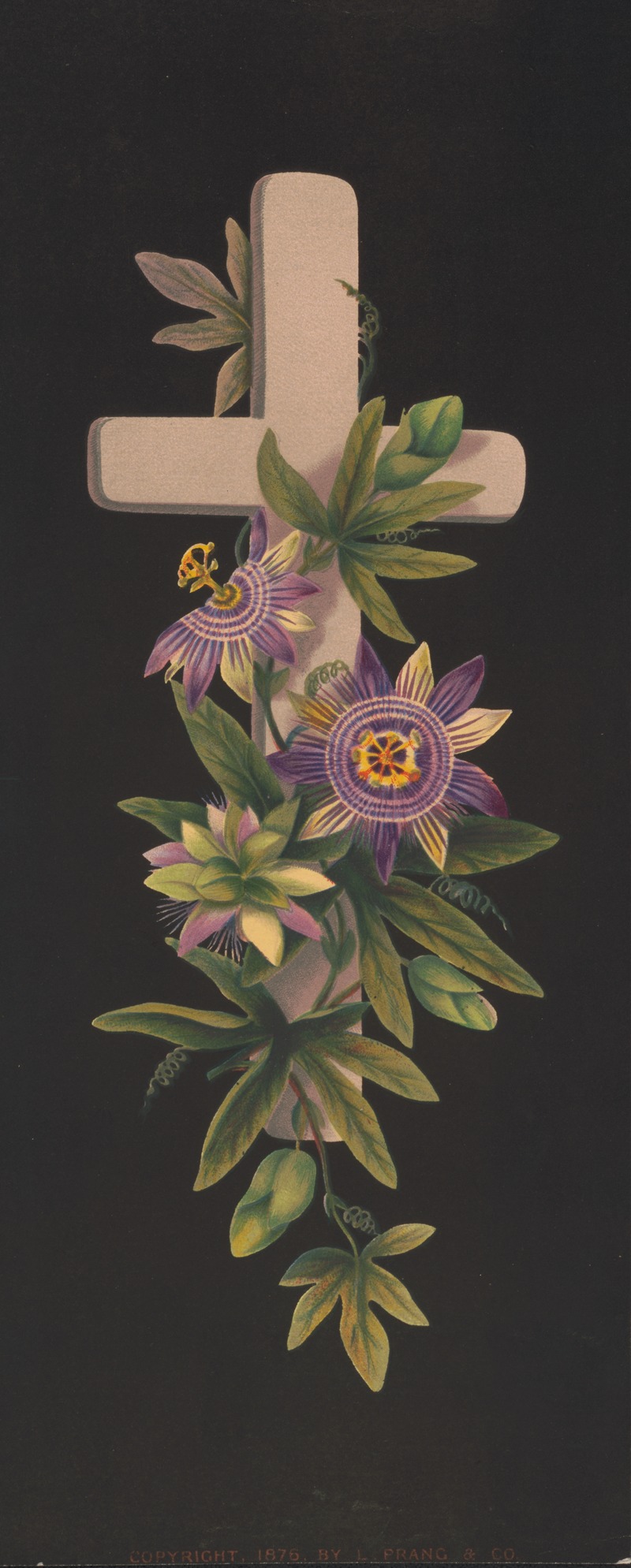 No. 42, Prang's crosses in mats by Луи Пранг и Ко, 1876 — digital art print download