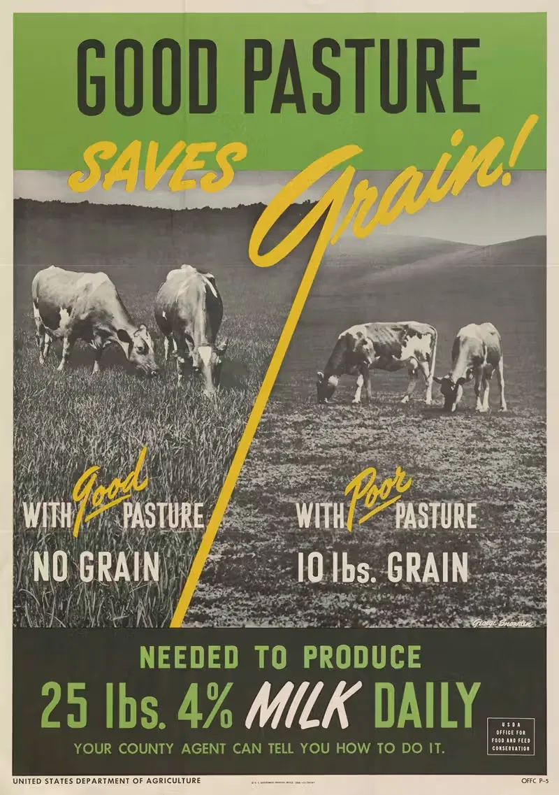 Good pasture saves grain! by George Snowden, 1948 — digital art print download
