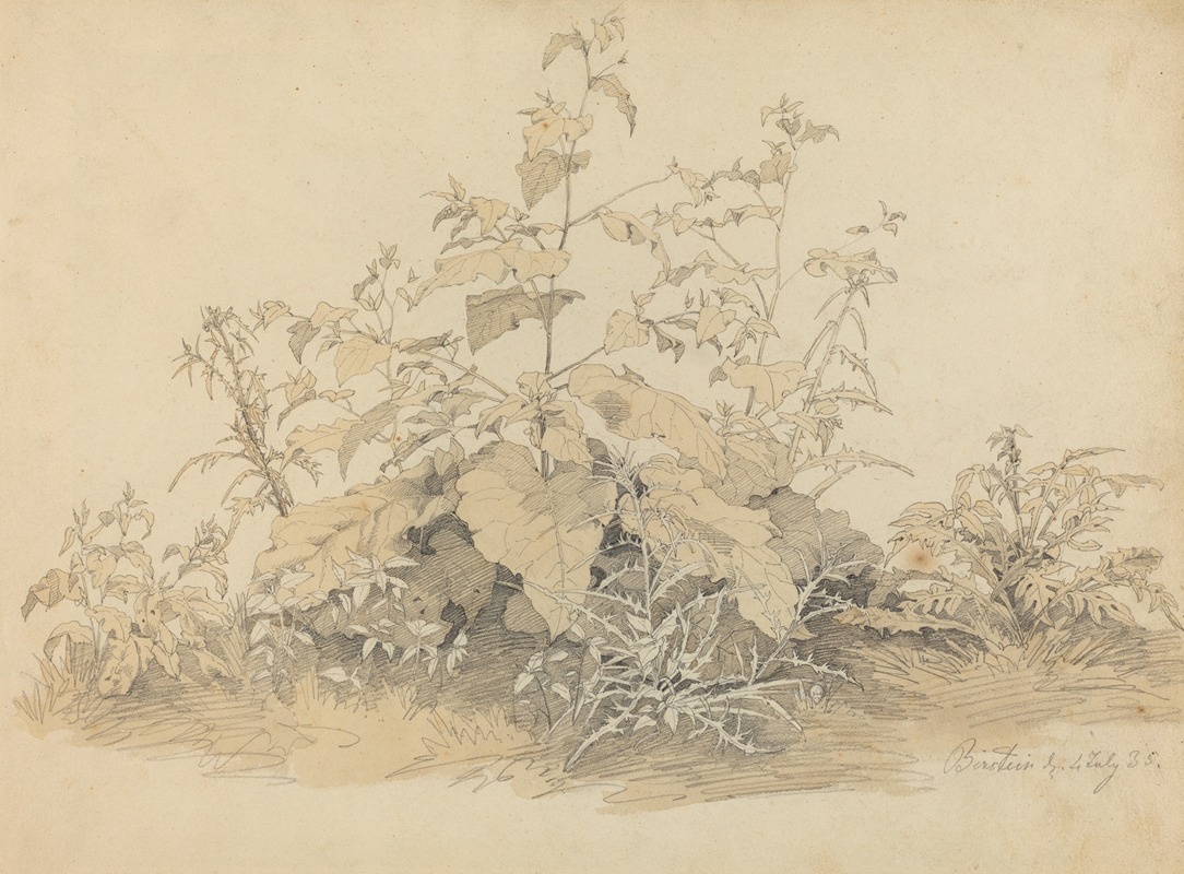 Wild Plants near Birstein — Johann Christian Heerdt