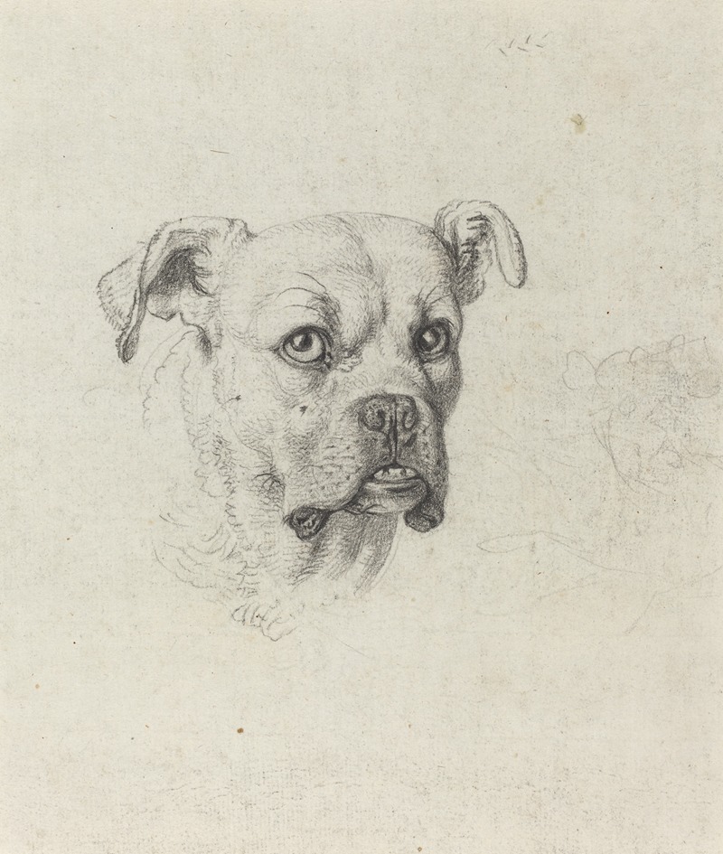 A Boxer by Johann Heinrich Wilhelm Tischbein, c. 1795 — digital art print download