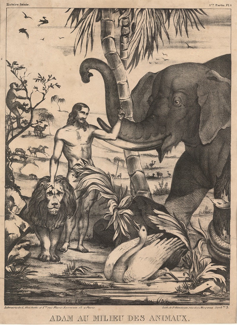 Adam au milieu des animaux — P. Bineteau