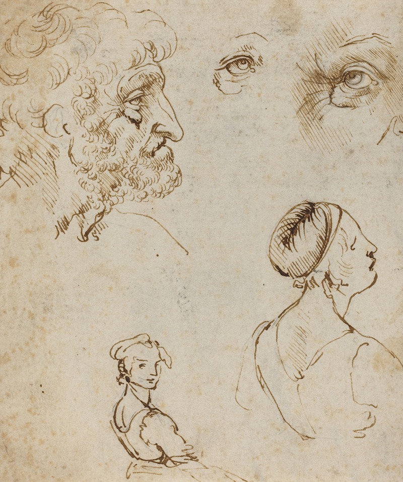 Sheet of Studies by Леонардо да Винчи, 1470-1480 — digital art print download