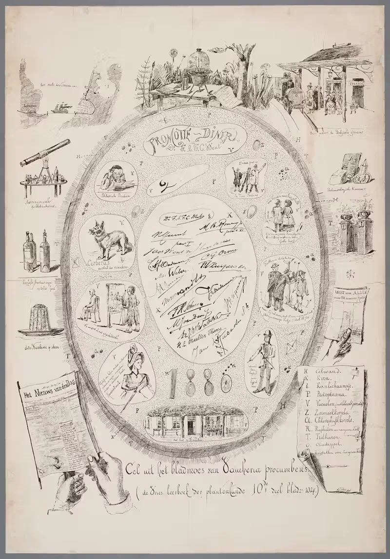 Friedrich August Ferdinand Christiaan Went — A.J. Salm