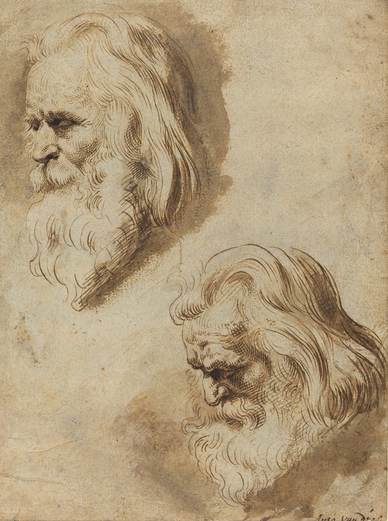 Two Studies of an Elderly Man's Head by Паулюс Понтий — digital art print download