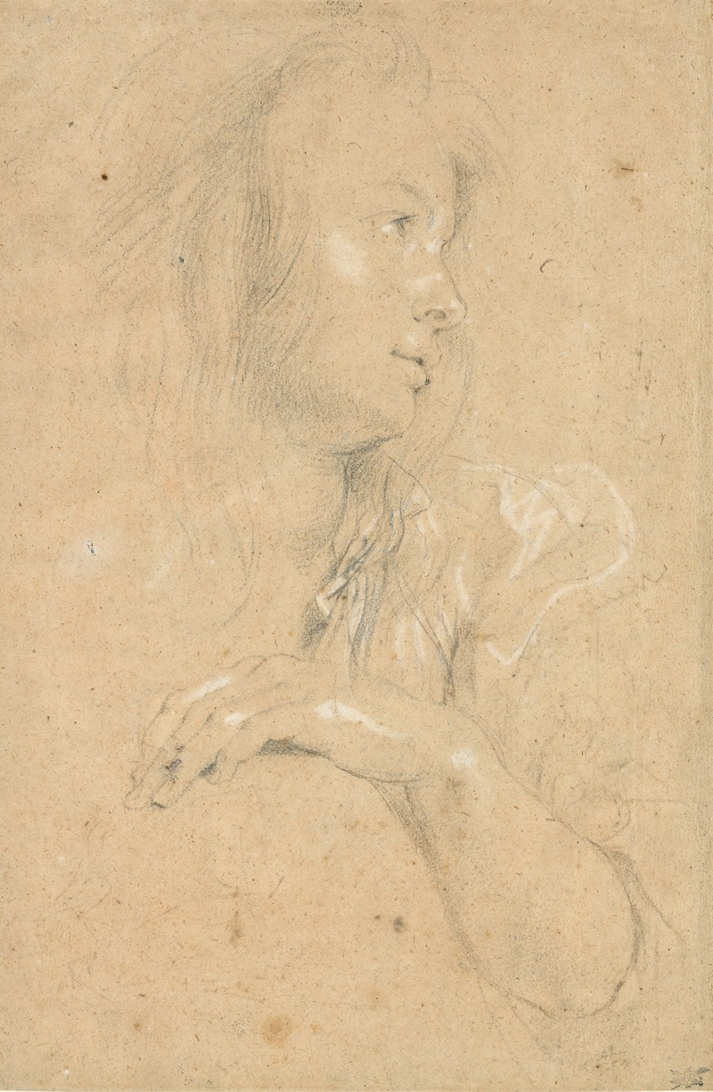 Young Woman in Profile by Петер Пауль Рубенс, c. 1613 — digital art print download