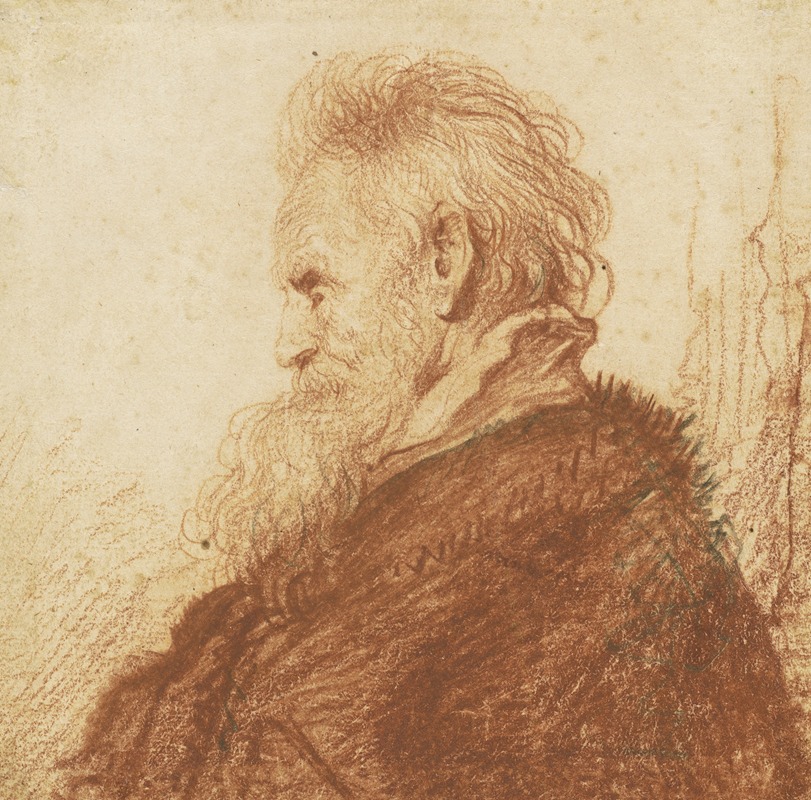 Head of an Old Man (recto) — Рембрандт ван Рейн