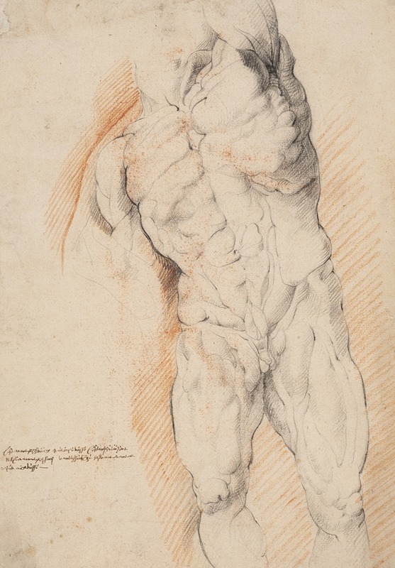 Anatomical Study (écorché). Front view of standing flayed man, his left arm raised — Willem Panneels