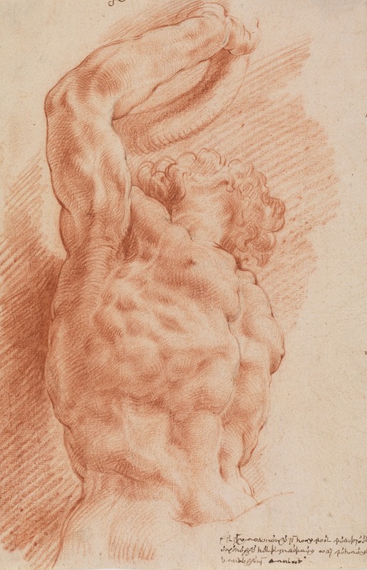 Laocoon. Laocoon's torso seen from below from the right. — Willem Panneels