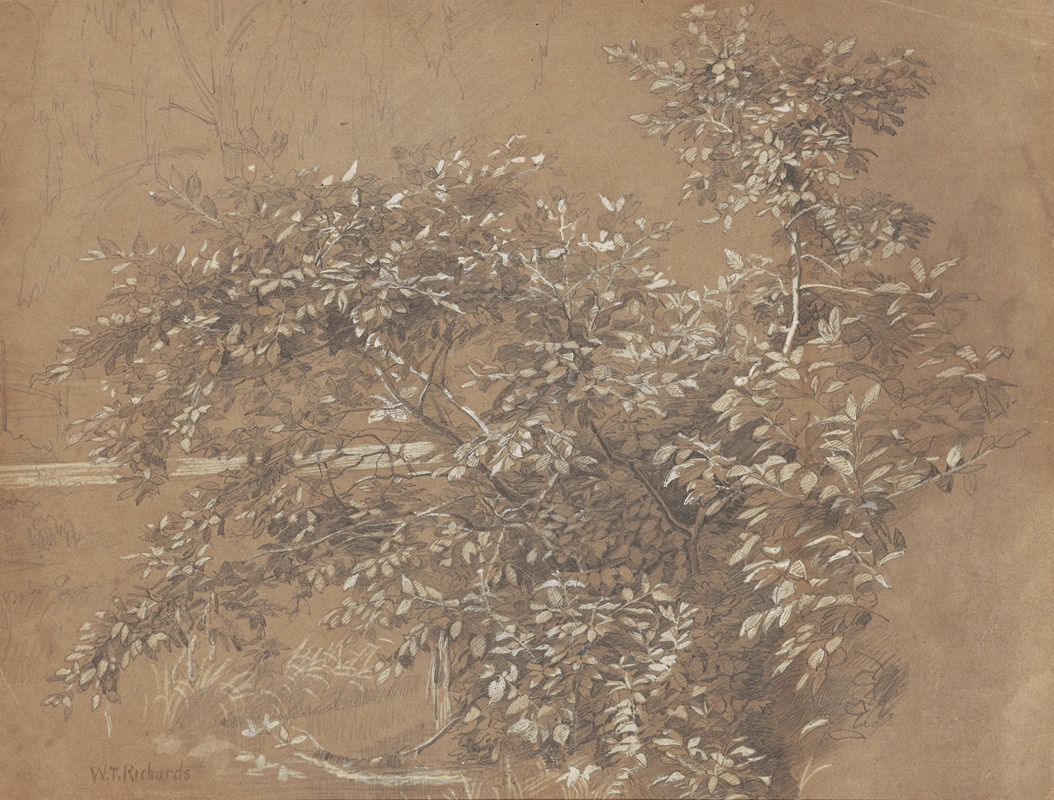 Foliage by Уильям Трост Ричардс — digital art print download