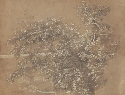 Foliage by Уильям Трост Ричардс — digital art print download