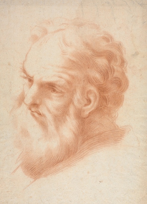Head of an Old Man — Anonymous