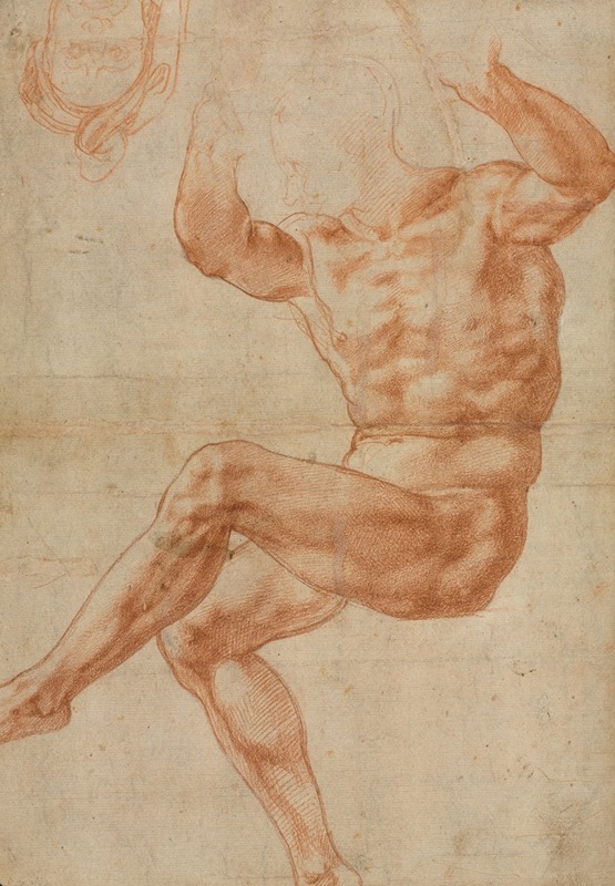 Study for the Nude Youth over the Prophet Daniel (recto) — Michelangelo