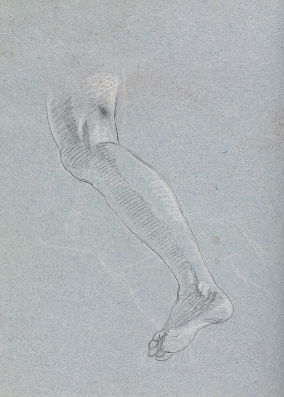 Verona Sketchbook: Left leg (page 28) — Francesco Lorenzi