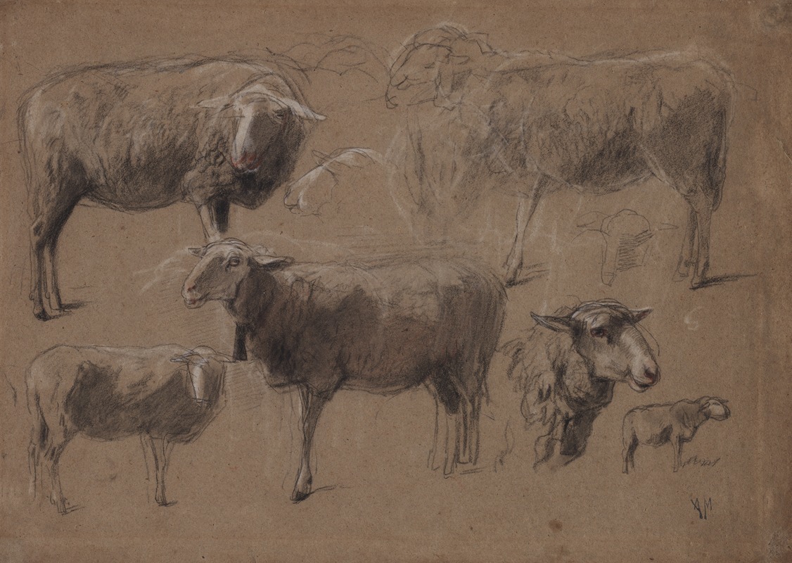 Studies of Sheep by Антон Мауve — digital art print download
