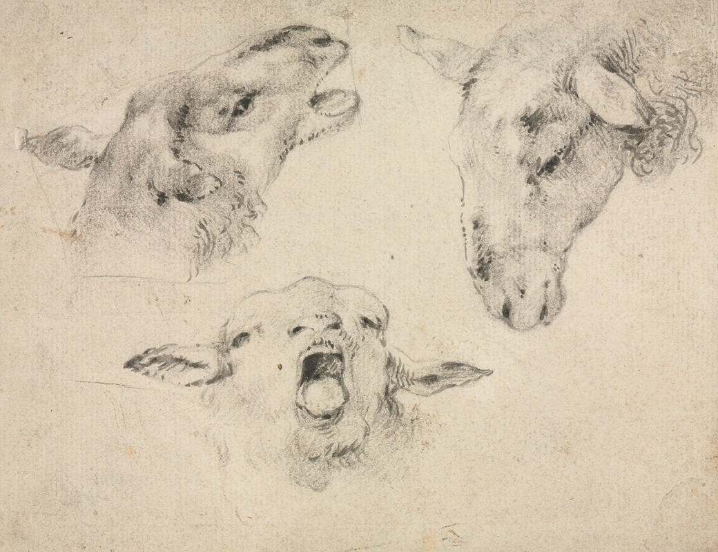Sheep Heads by Вутерус Версхур — digital art print download