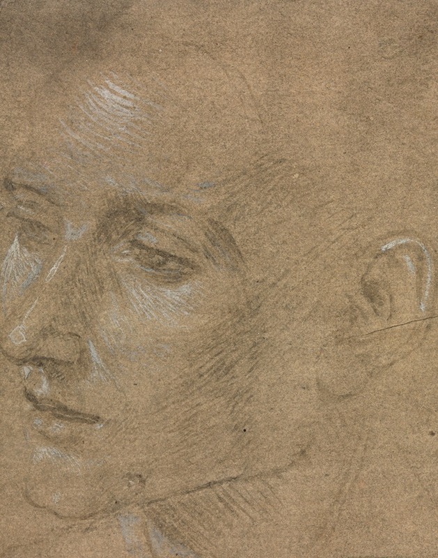 Head of a Young Man — Филиппино Липпи