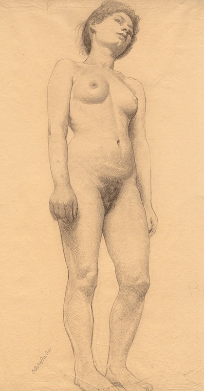 Standing Female Nude by Отто Генри Бахер — digital art print download
