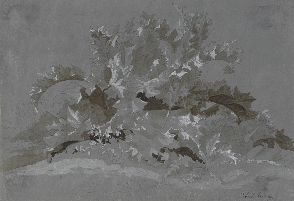 Study of Weeds by Жан-Антуан Линк, 1800-1850 — digital art print download
