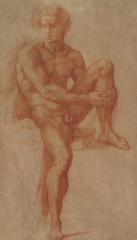 Seated Male Nude by Baccio Bandinelli — digital art print download