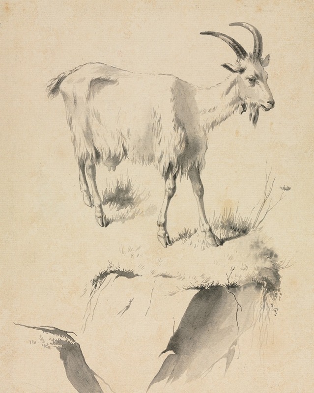 Study of a Goat by Жан-Жак де Буассье — digital art print download