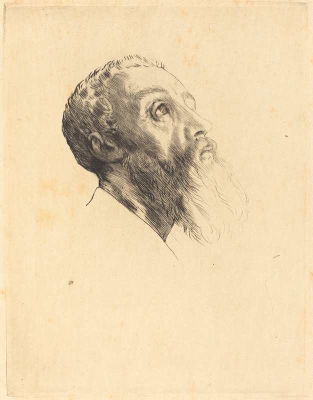Head of a Model — Alphonse Legros